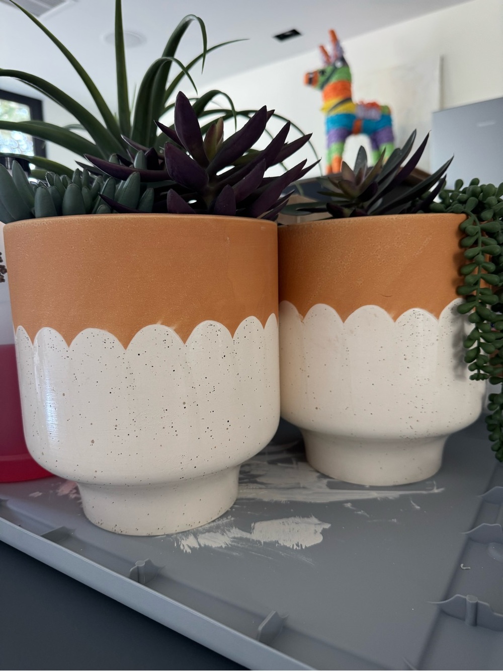 Terracotta & White Scalloped Ceramic Planter - Home Accents